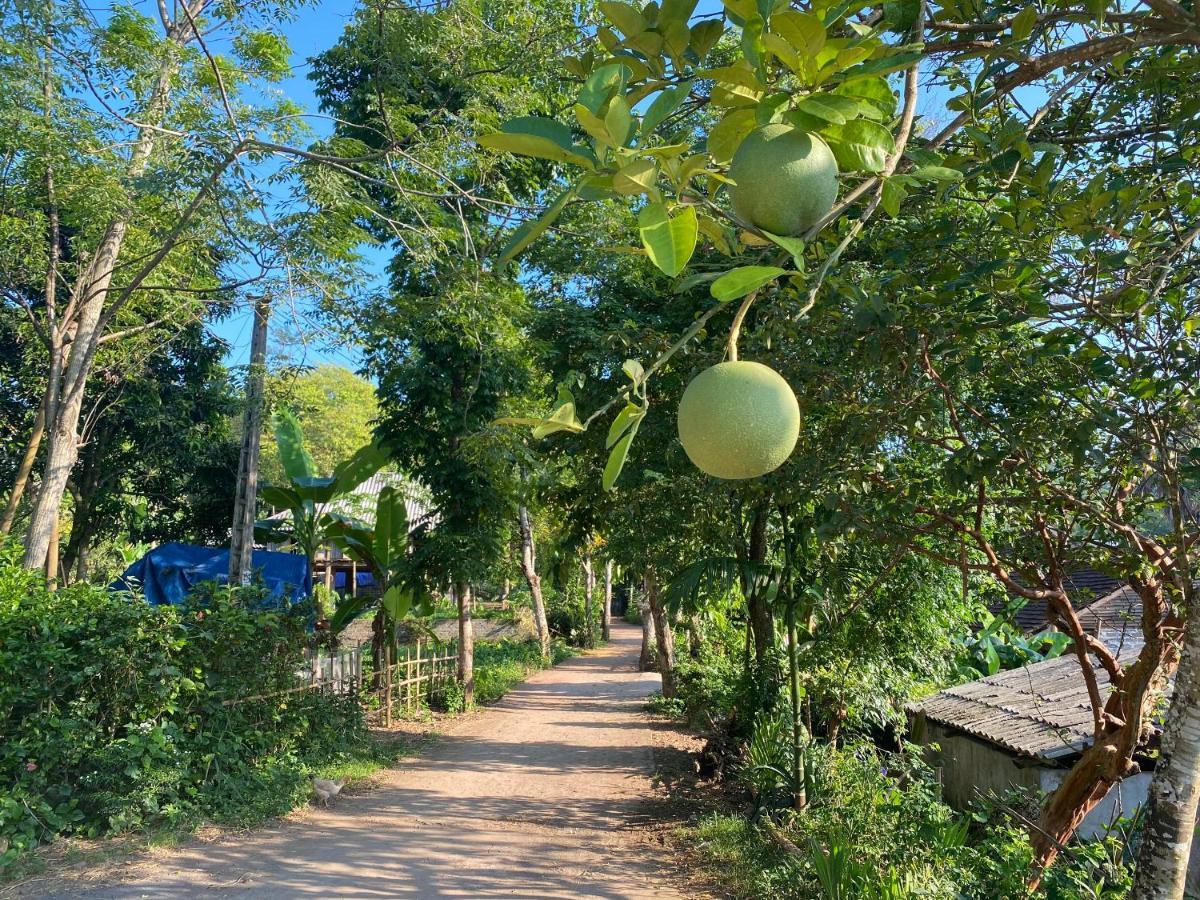 Hòa Bình Muong Bi Homestay מראה חיצוני תמונה