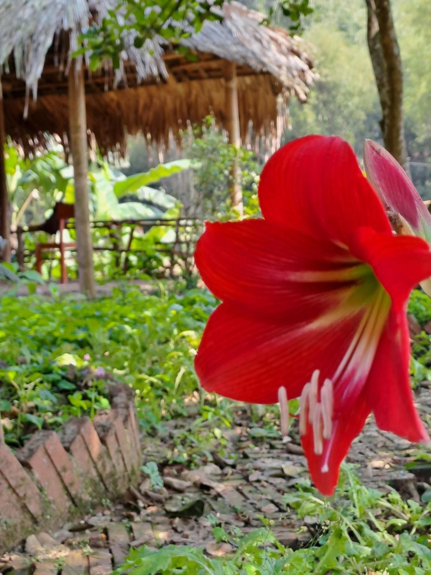 Hòa Bình Muong Bi Homestay מראה חיצוני תמונה