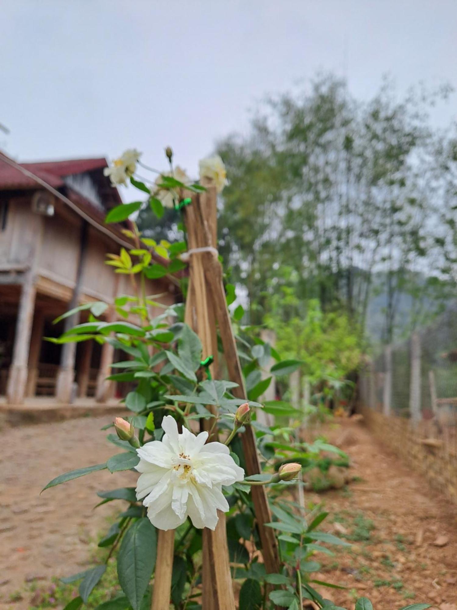 Hòa Bình Muong Bi Homestay מראה חיצוני תמונה