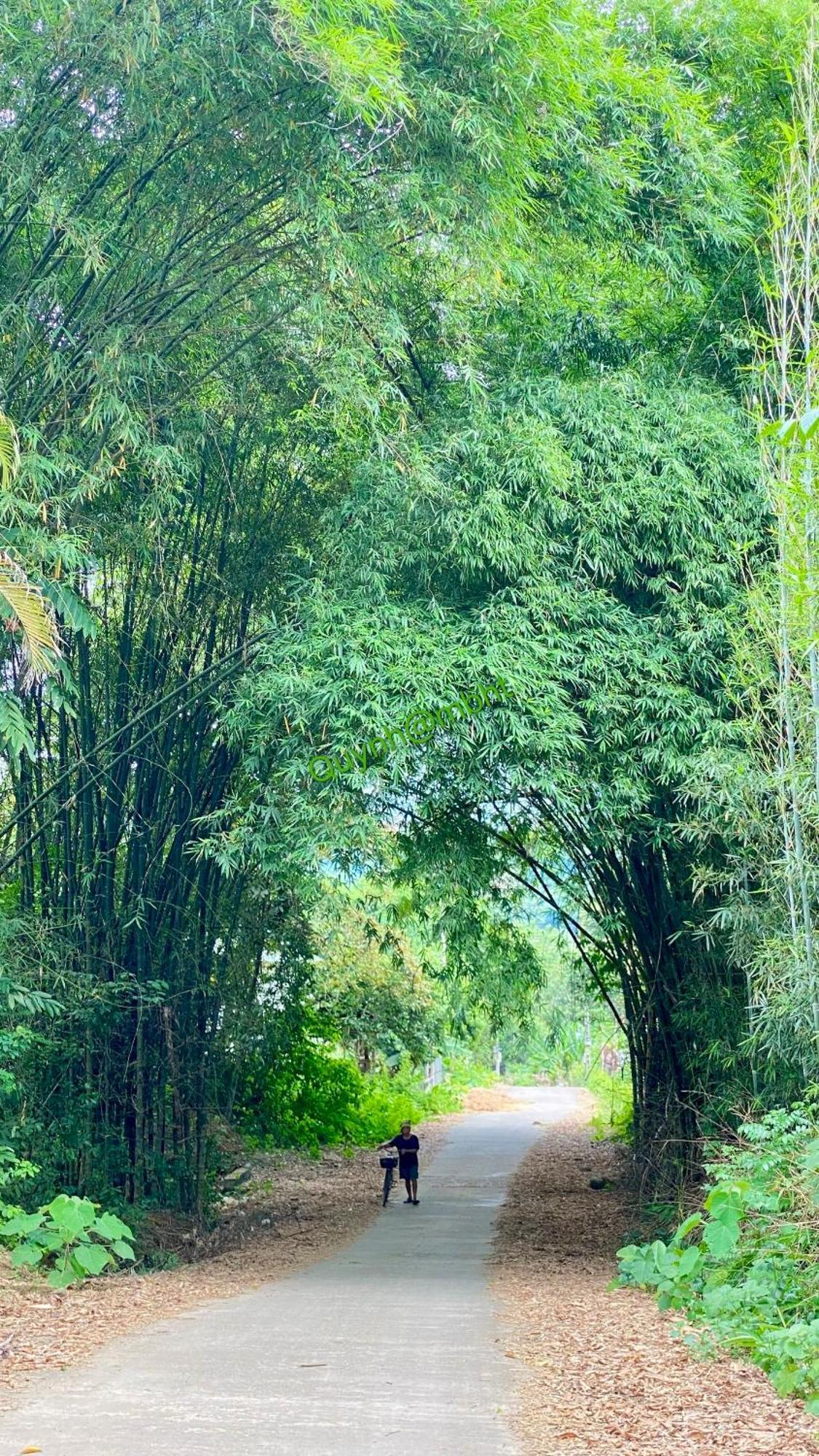 Hòa Bình Muong Bi Homestay מראה חיצוני תמונה