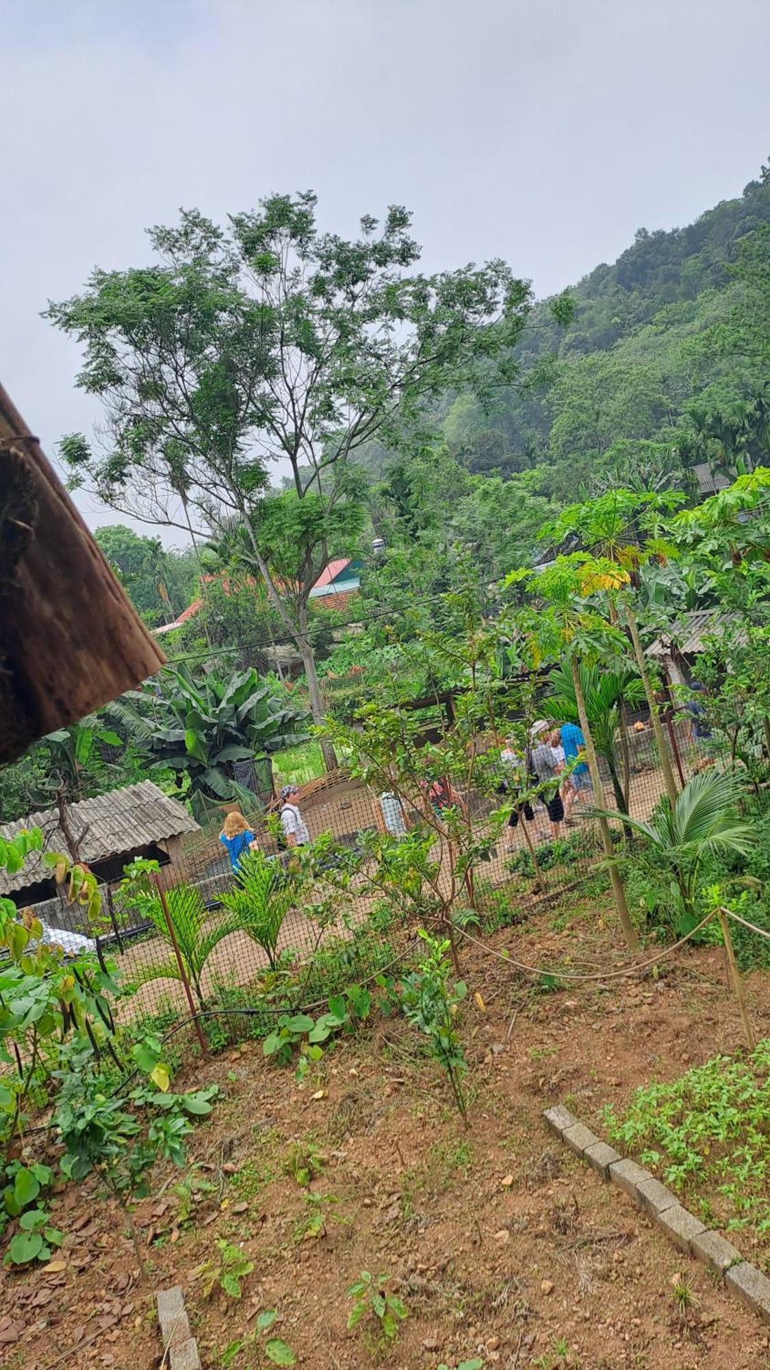 Hòa Bình Muong Bi Homestay מראה חיצוני תמונה