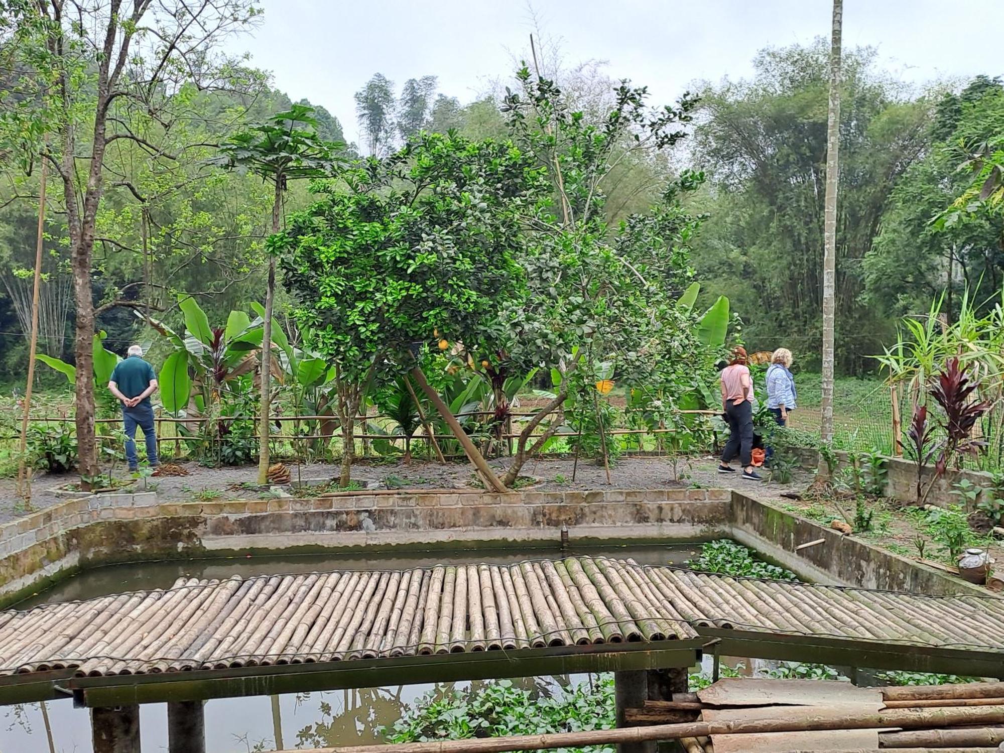 Hòa Bình Muong Bi Homestay מראה חיצוני תמונה